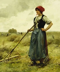 Tempo di raccolto