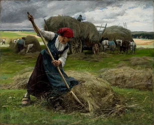 Scena di fienagione