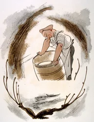 Illustrazione umoristica del vino 1946
