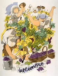 Illustrazione umoristica del vino 1946