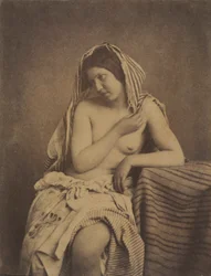 Studio dalla natura
