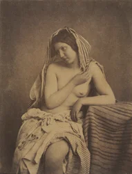 Studio dalla natura, c. 1853-1855