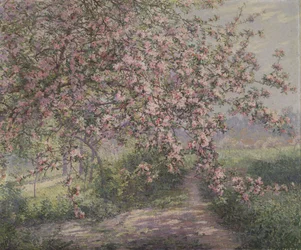 Un melo in fiore (olio su tela)