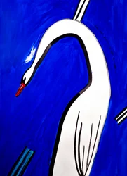 Grazioso cigno bianco