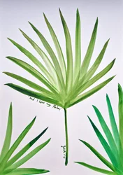 Foglia di palma tropicale