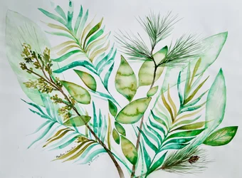 Foglie verdi di vario tipo
