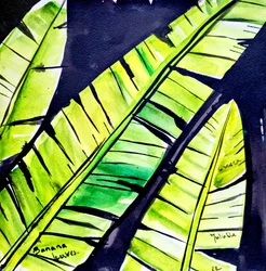Foglie di banano dai colori vivaci