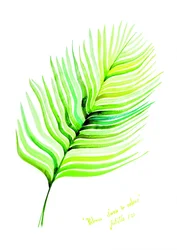 Foglia tropicale dai colori vivaci