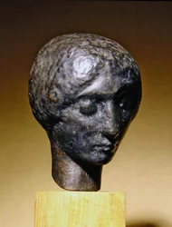 Testa Inclinata
