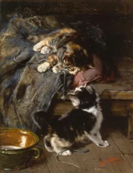 Gattini che giocano