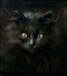 Ritratto di un gatto