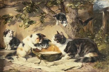 La ciotola di latte