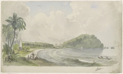 Paesaggio costiero tropicale