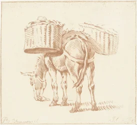Asino carico