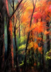 Il bagliore della foresta autunnale