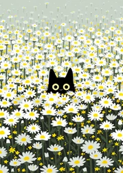 Gatto nero nel prato di margherite