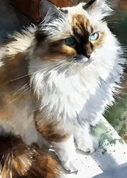 Gatto dagli occhi luminosi dipinto ad acquerello