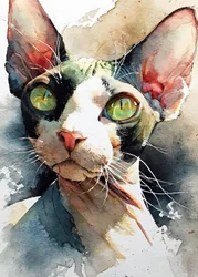Affascinante Sphynx dagli occhi verdi