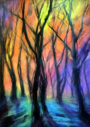 Luci della foresta incantata