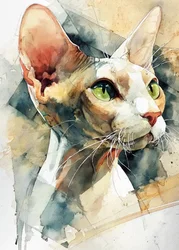 Gatto Sphynx dagli occhi verdi