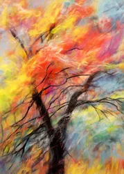 Albero autunnale dai colori vivaci