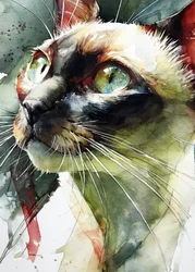 Lo sguardo vivace del gatto siamese