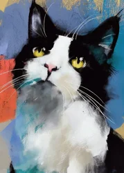 Gatto Tuxedo dai colori vivaci