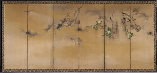 Fiori d