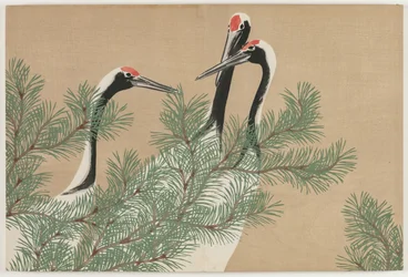 Fiori di Cento Mondi (Momoyogusa): Gru (Tsuru)