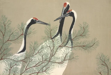 Tsuru, da Momoyo-gusa