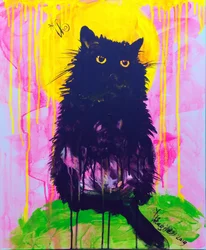 Misterioso gatto nero