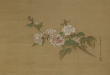 Un ramo di ibisco in fiore, Periodo Edo