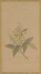 Un ramo di nespole, periodo Edo, XVII secolo
