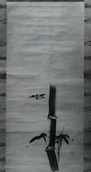 Passero e bambù