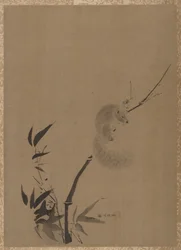 Scoiattolo su bambù, ca. 1650