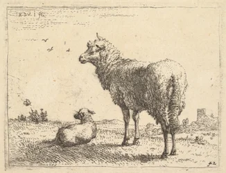 Una pecora matura in vista di tre quarti in piedi e guardando a sinistra, accanto a essa un agnello giace