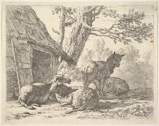 Quattro pecore, una pecora in piedi tra tre altre sdraiate a terra accanto a una capanna, 1658