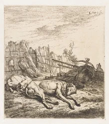 Cani da caccia addormentati