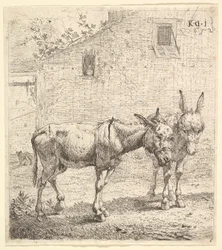 Due asini in un cortile erboso, uno in vista di profilo rivolto a destra e un altro dietro, 1652