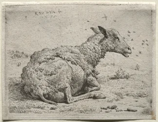 Le pecore e le mosche