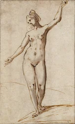 Nudo femminile