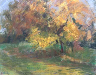 Autunno a May Banks, Sussex, 2000