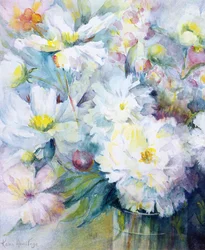 Peonie - Festiva Maxima