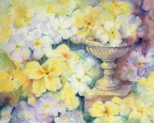 Polyanthus a Hurst