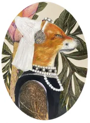 Ritratto di Regal Fox