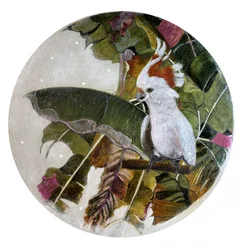 Cacatua bianco nella giungla