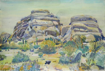 Paesaggio di Joshua Tree