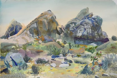 Rocce del deserto sud-occidentale