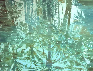 Riflessi nella foresta invernale