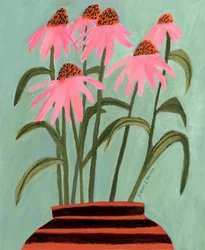 Echinacee rosa in vaso